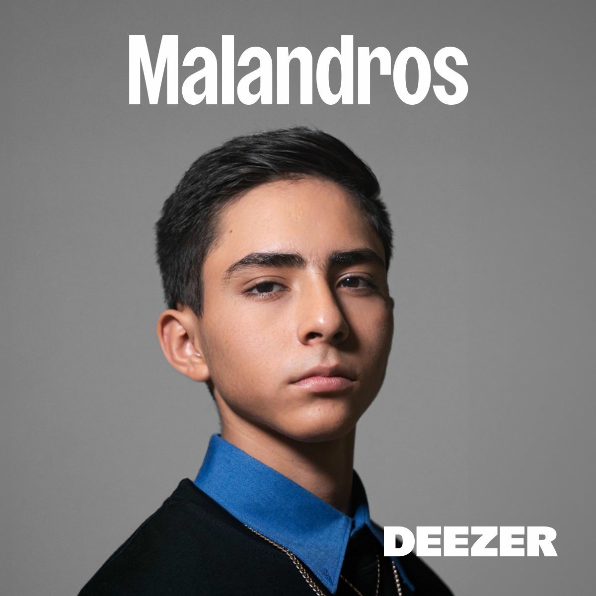 Cover of playlist Malandros