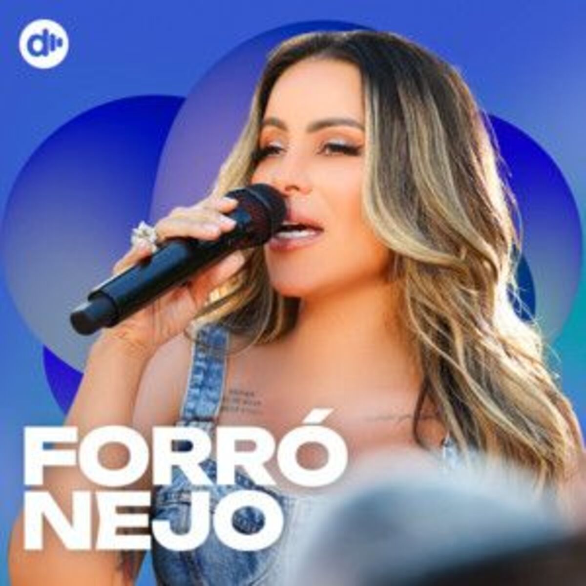 Cover of playlist Forronejo