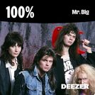 100% Mr. Big