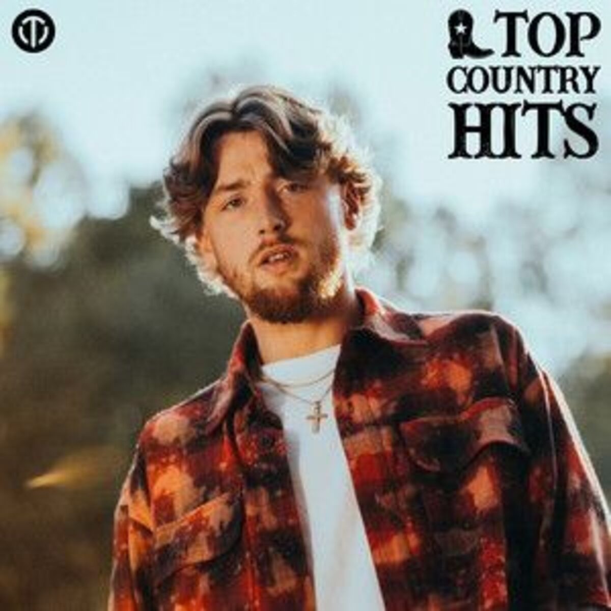 Cover of playlist Top Country Hits 2025
