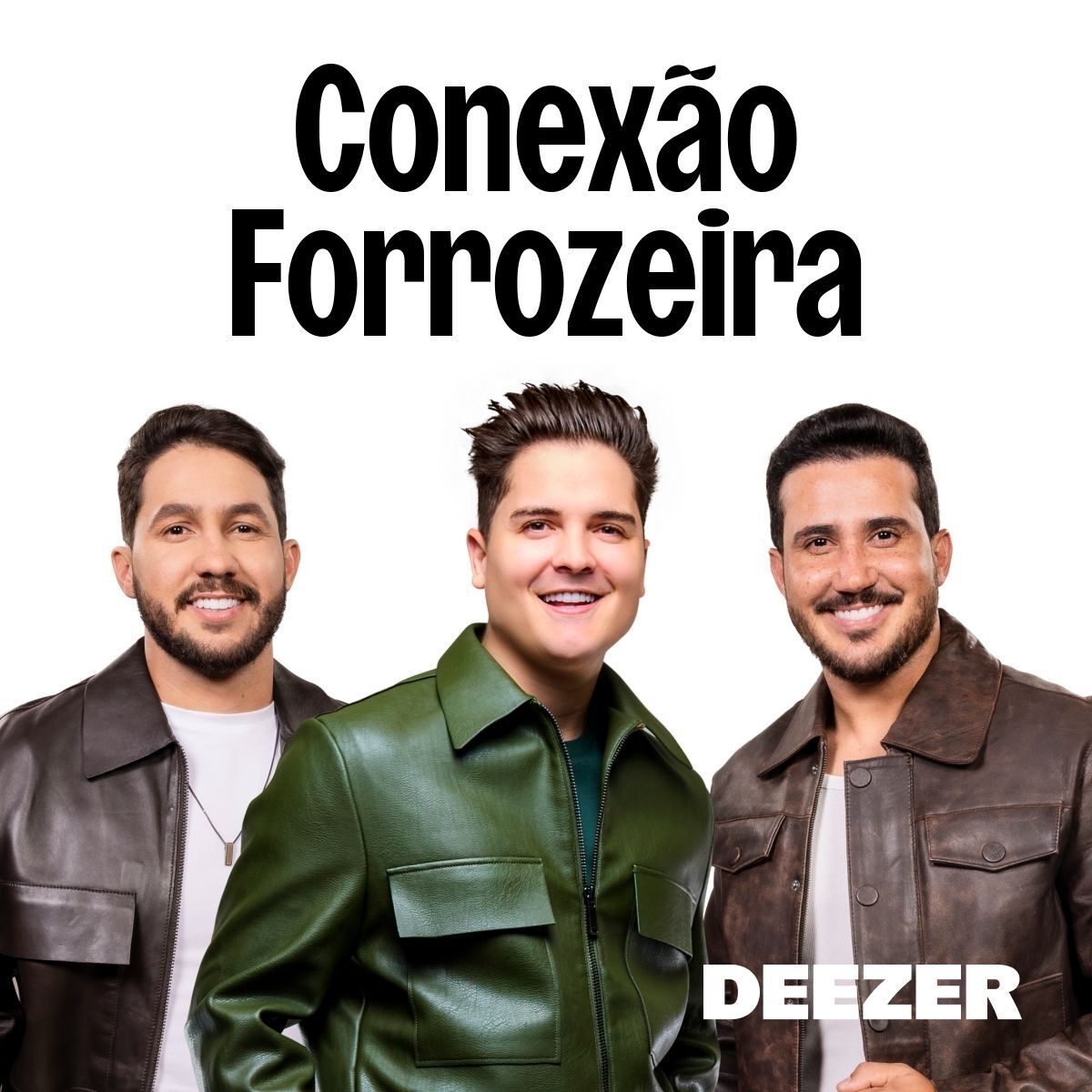 Cover of playlist Conexão Forrozeira