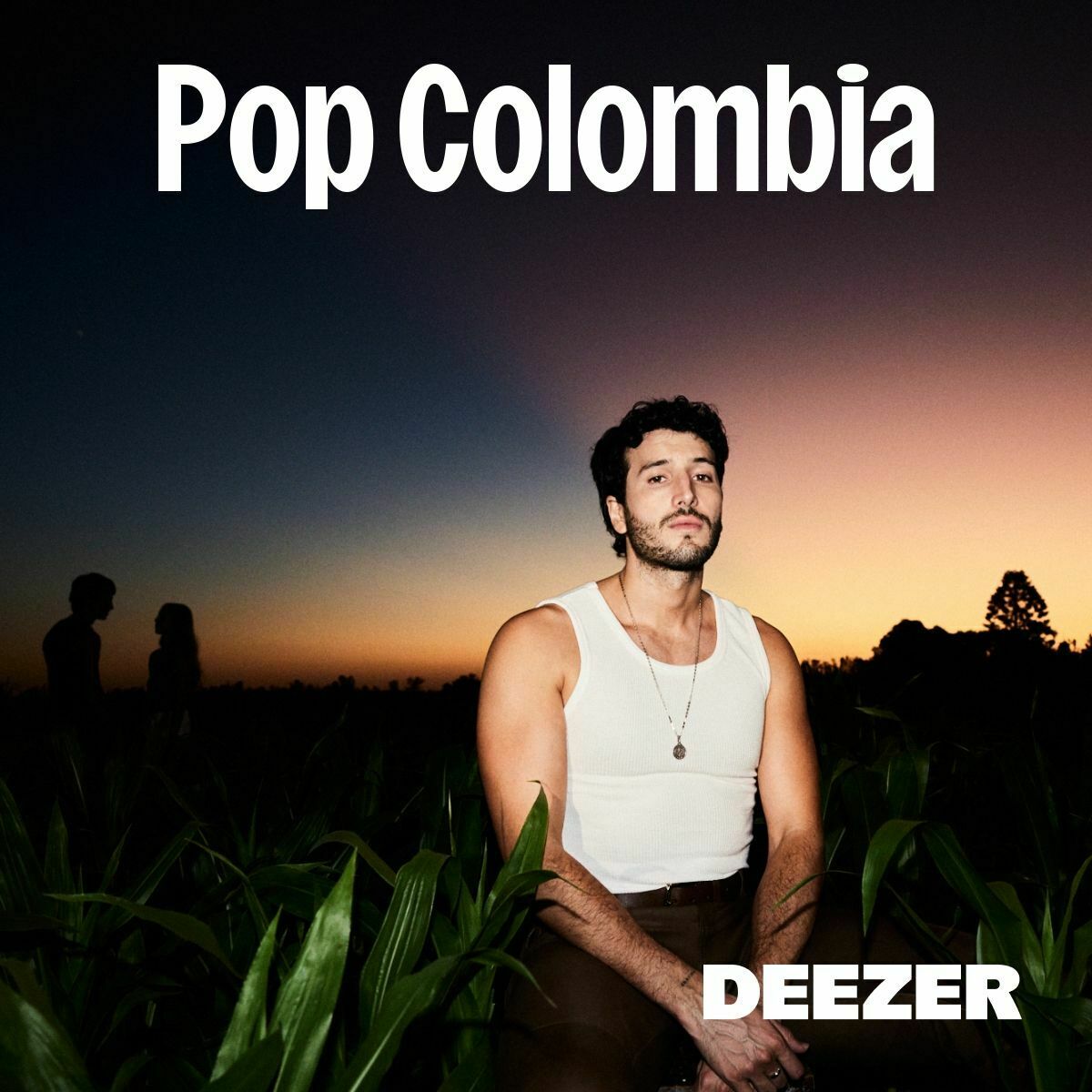 Cover of playlist Pop Colombia