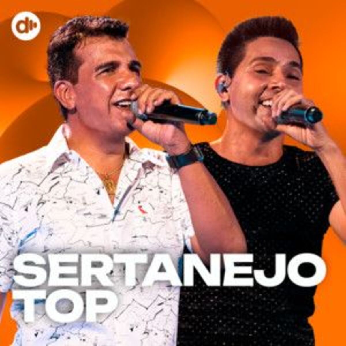 Cover of playlist Sertanejo Top | Sertanejo 2025 | As melhores do Se