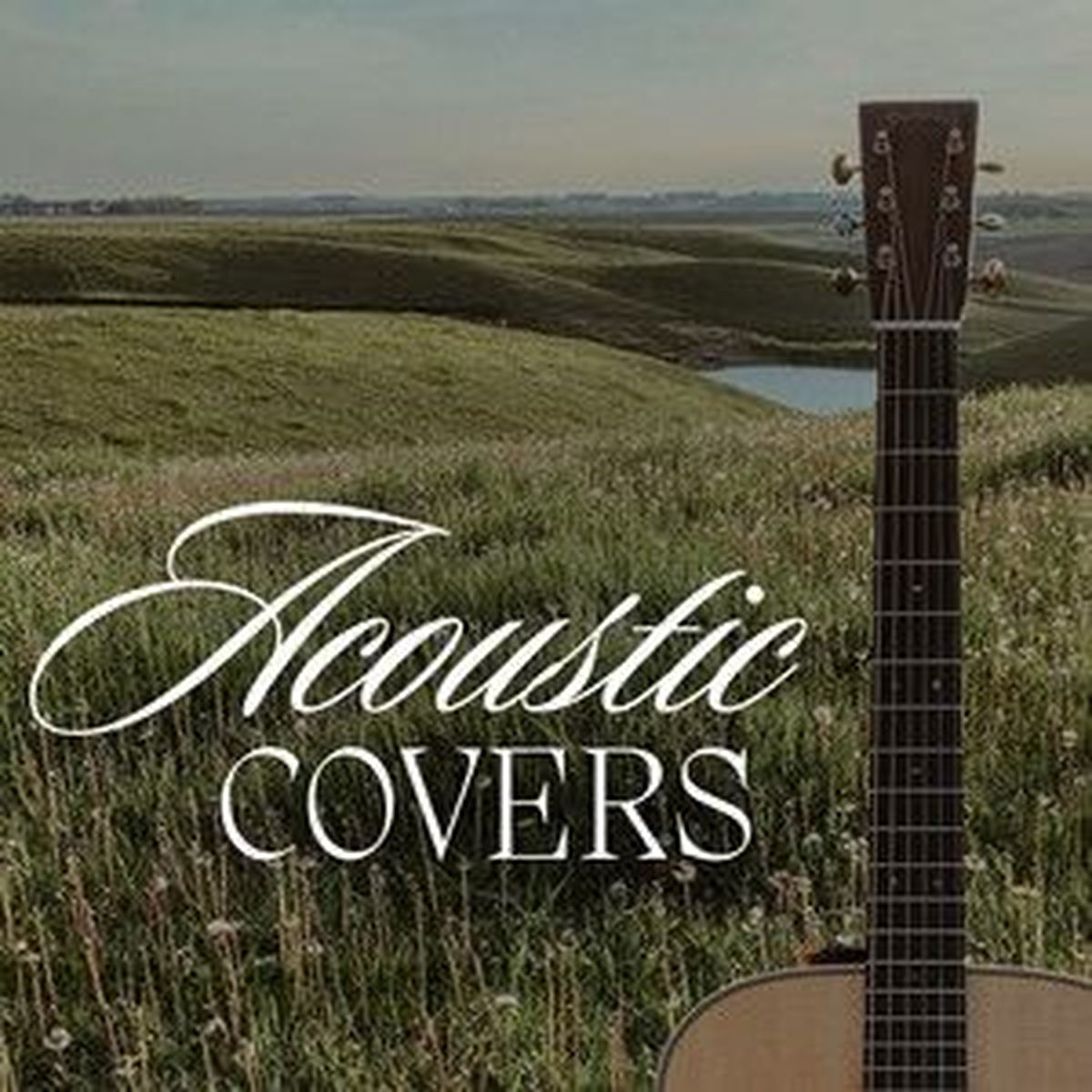 Cover of playlist Acoustic Covers