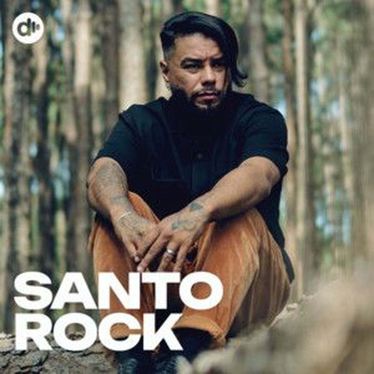 Cover of playlist Santo Rock  | Rock Gospel 2025
