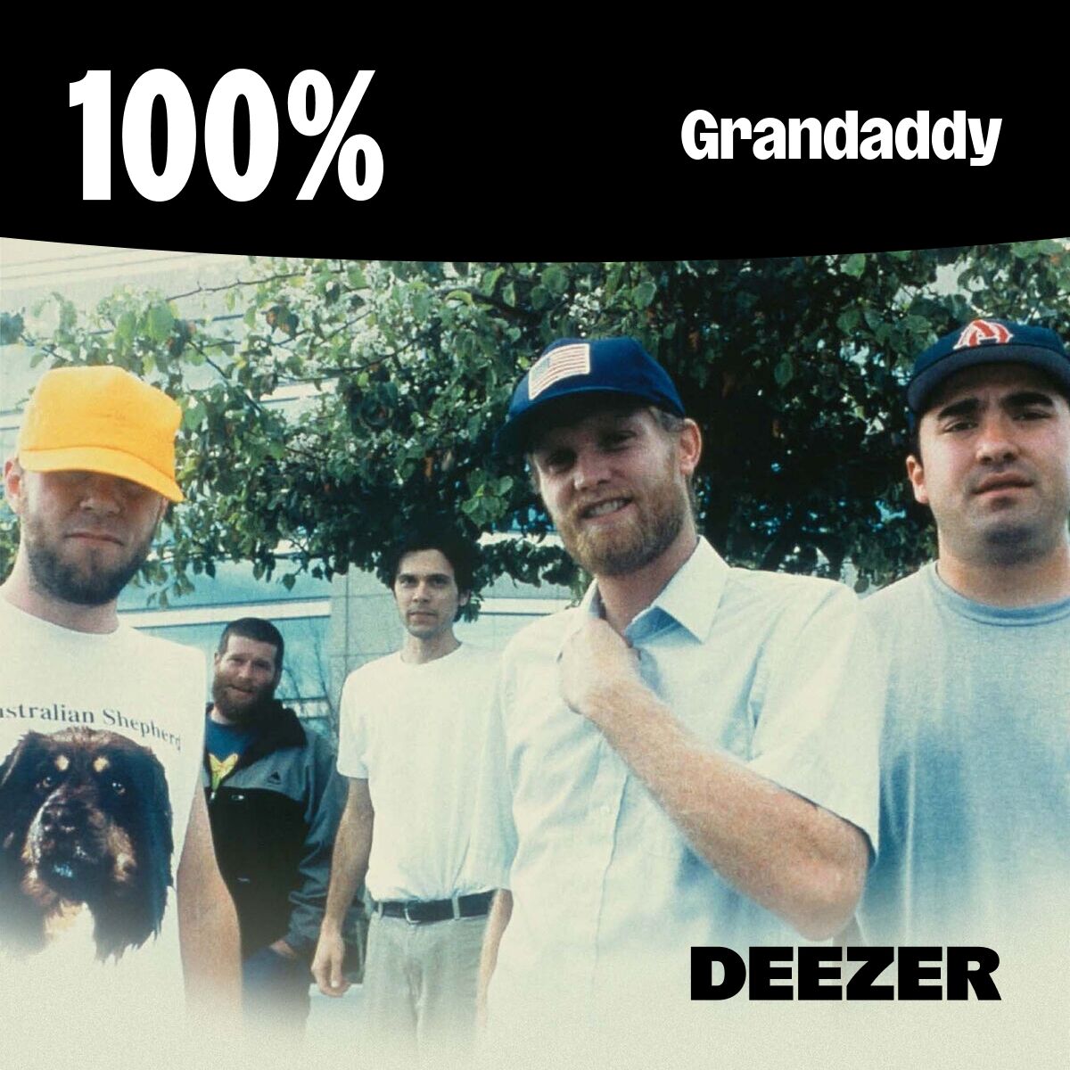 Cover of playlist 100% Grandaddy