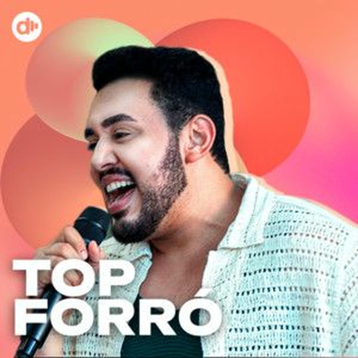 Cover of playlist TOP Forró ✨Forró 2025