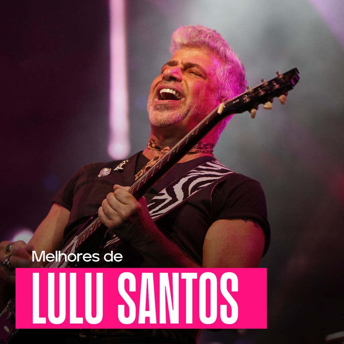 Cover of playlist Lulu Santos - As Melhores