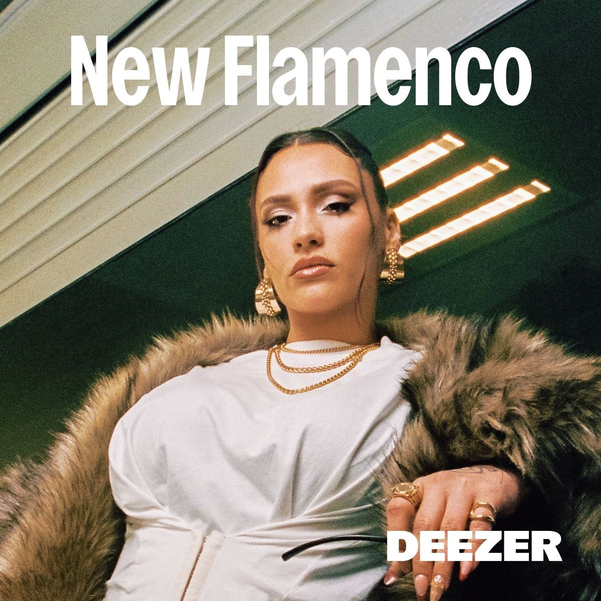 Cover of playlist New Flamenco