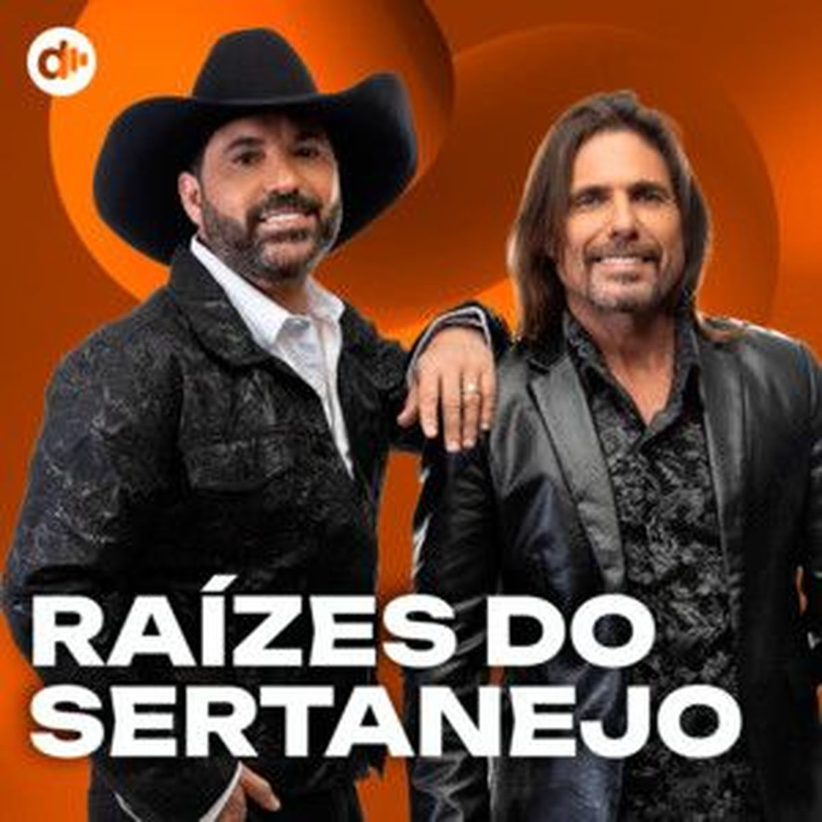 Cover of playlist Raízes do Sertanejo