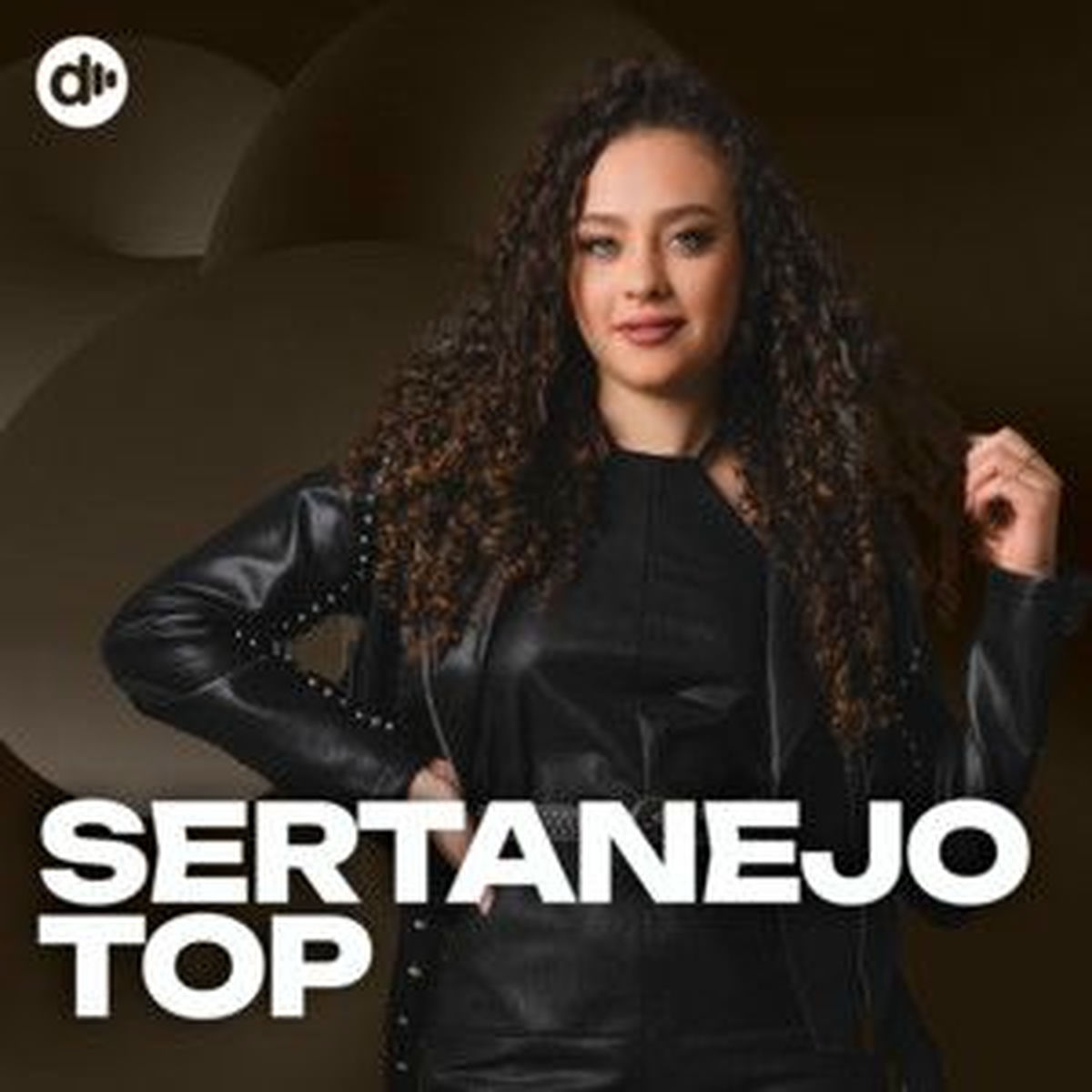 Cover of playlist Sertanejo Top | As Melhores do Sertanejo