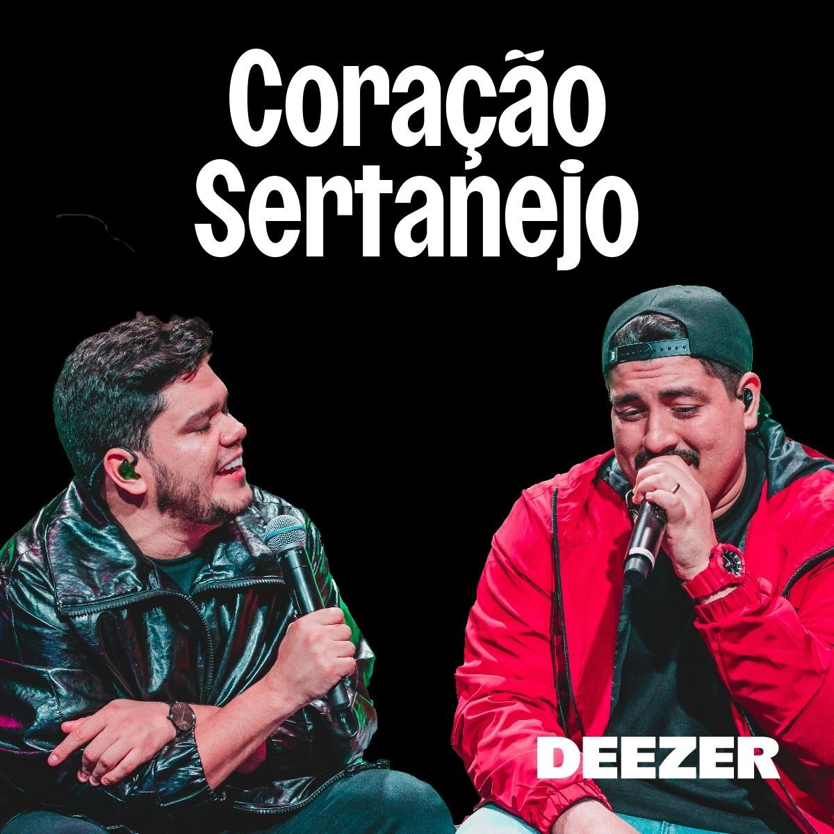 Cover of playlist Coração Sertanejo