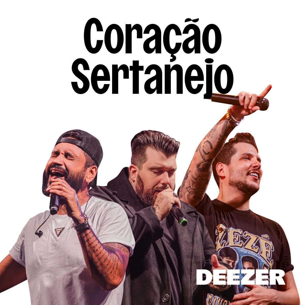 Cover of playlist Coração Sertanejo