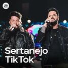 Sertanejo TikTok 2025 🔥 Atualizado!