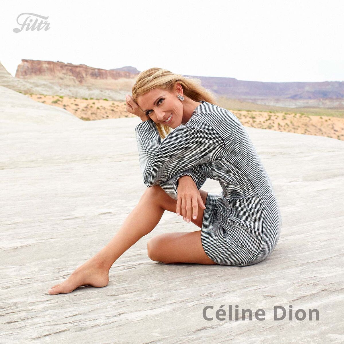 Cover of playlist Céline Dion : Best of