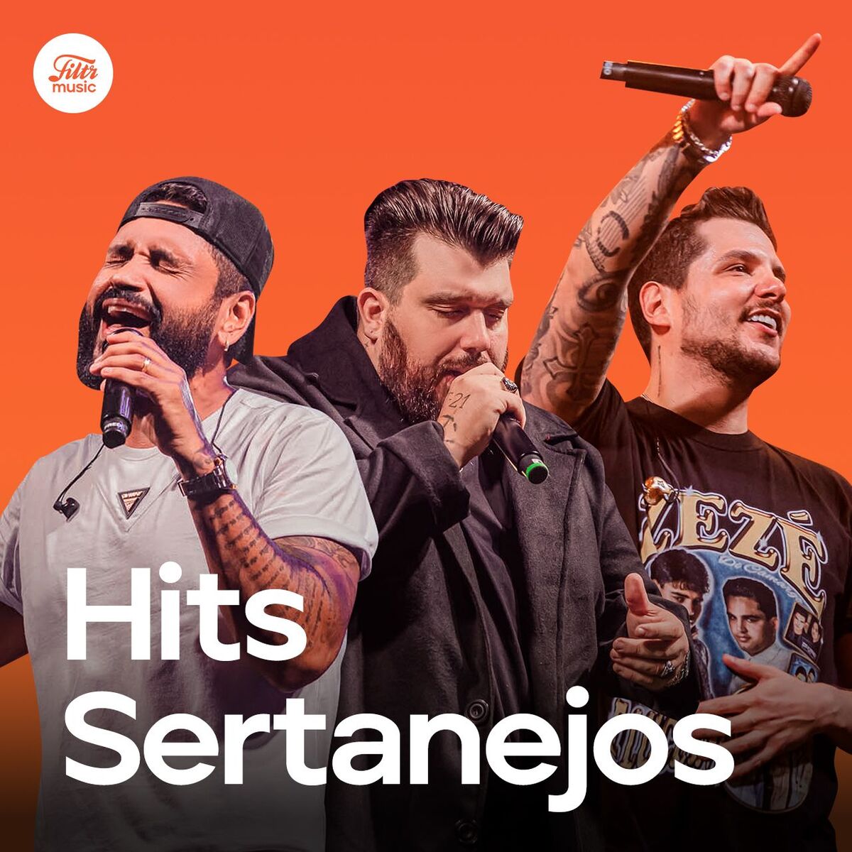 Cover of playlist Hits Sertanejos 2025 | Sertanejo Mais Tocadas 2025