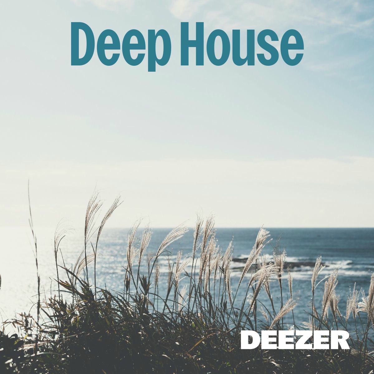 Cover of playlist Deep House
