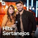 Hits Sertanejos 2025 | Sertanejo Mais Tocadas 2025