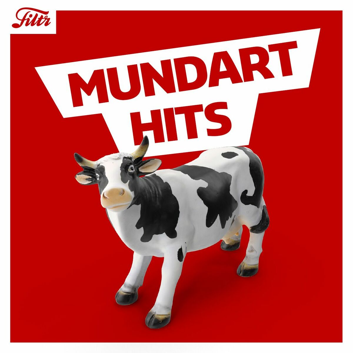 Cover of playlist Mundart Hits 🇨🇭 | Swiss Mundart Hits