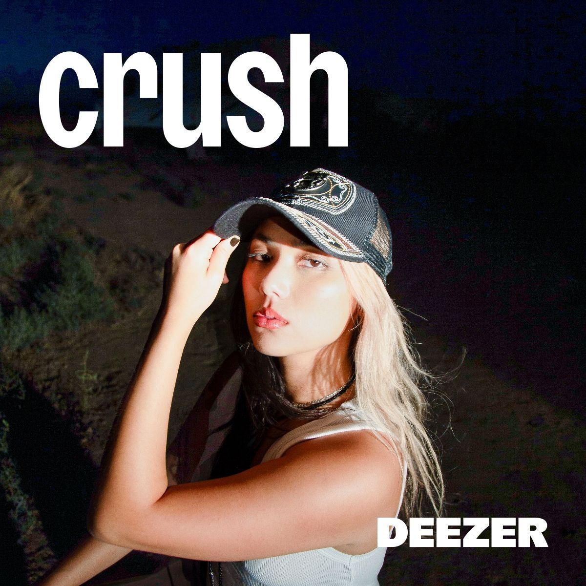 Cover of playlist crush <3
