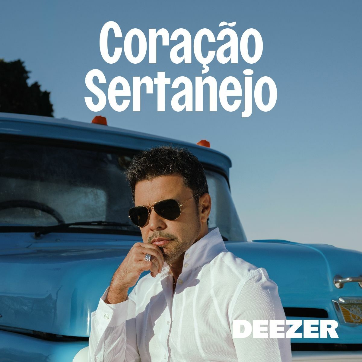 Cover of playlist Coração Sertanejo