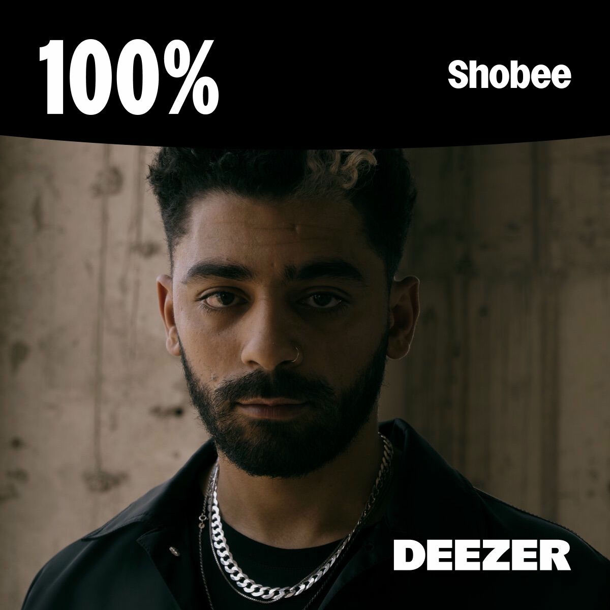 Cover of playlist 100% Shobee