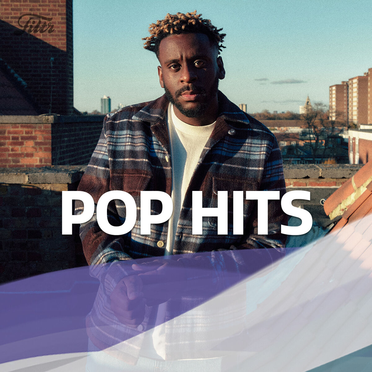 Cover of playlist Pop Hits