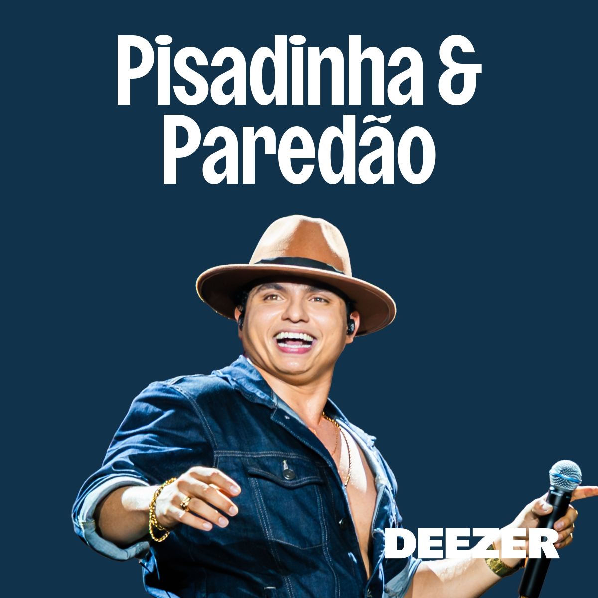 Cover of playlist Pisadinha & Paredão
