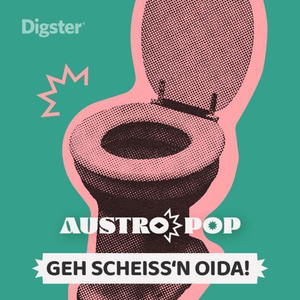 Cover of playlist Geh scheiss'n Oida!