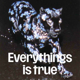 Everythings is true