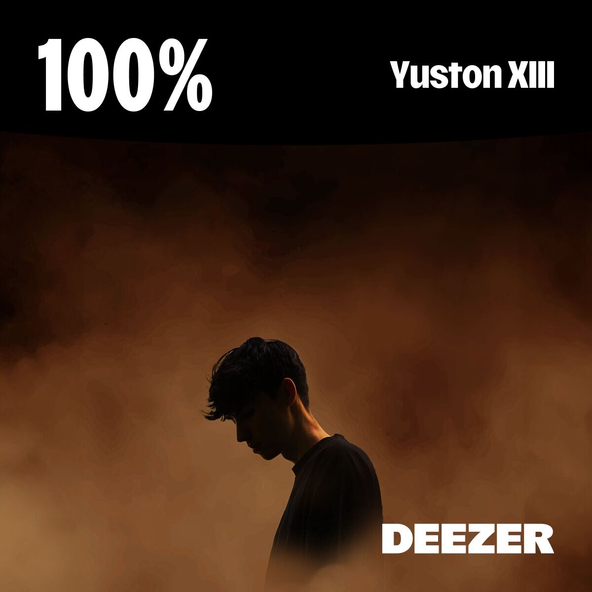 Cover of playlist 100% Yuston XIII