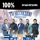 100% Grupo Bryndis