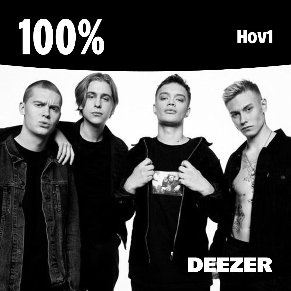 Cover of playlist 100% Hov1