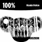 100% Koala Voice