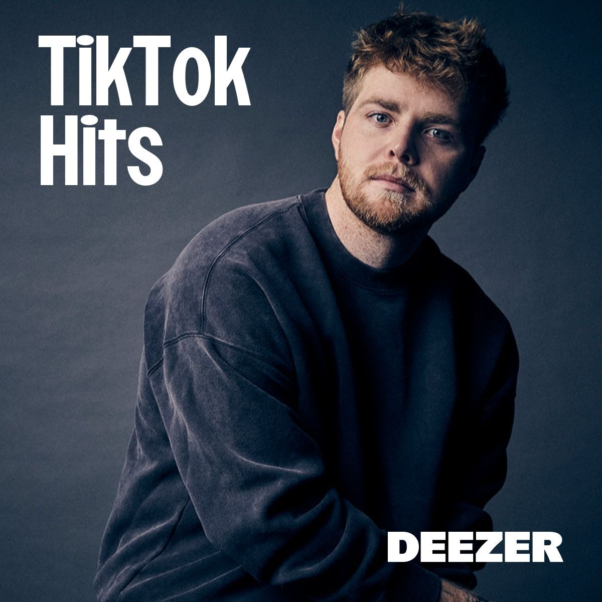 Cover of playlist TikTok Hits