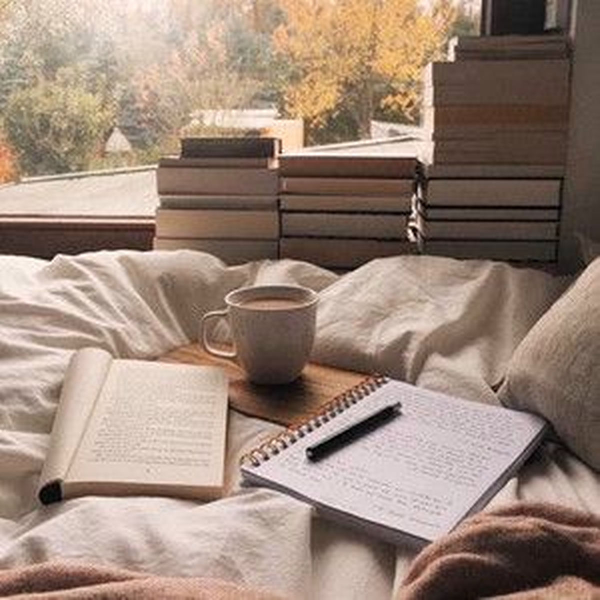 Cover of playlist Classical Music For Studying & Focus