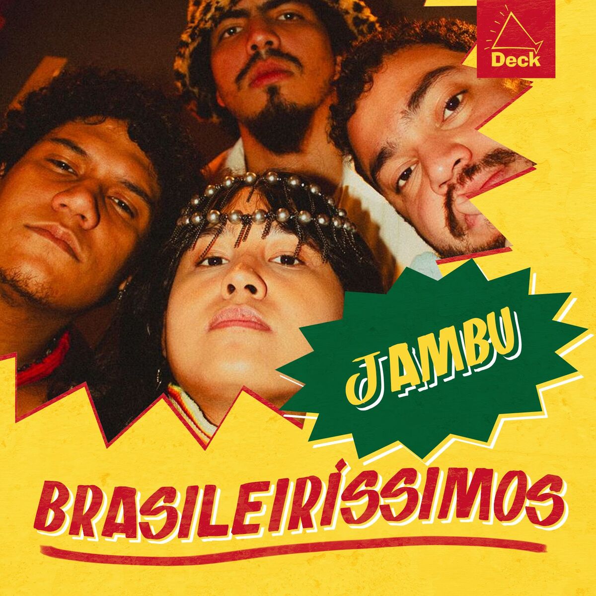 Cover of playlist Brasileiríssimos