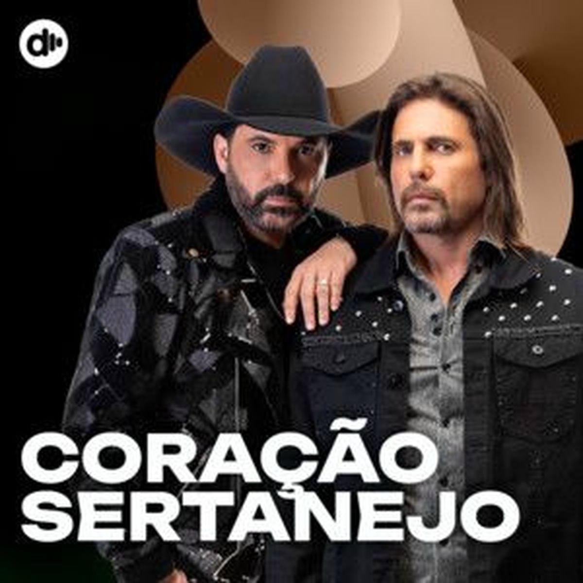 Cover of playlist Coração Sertanejo 💕 Sertanejo 2025 🤠
