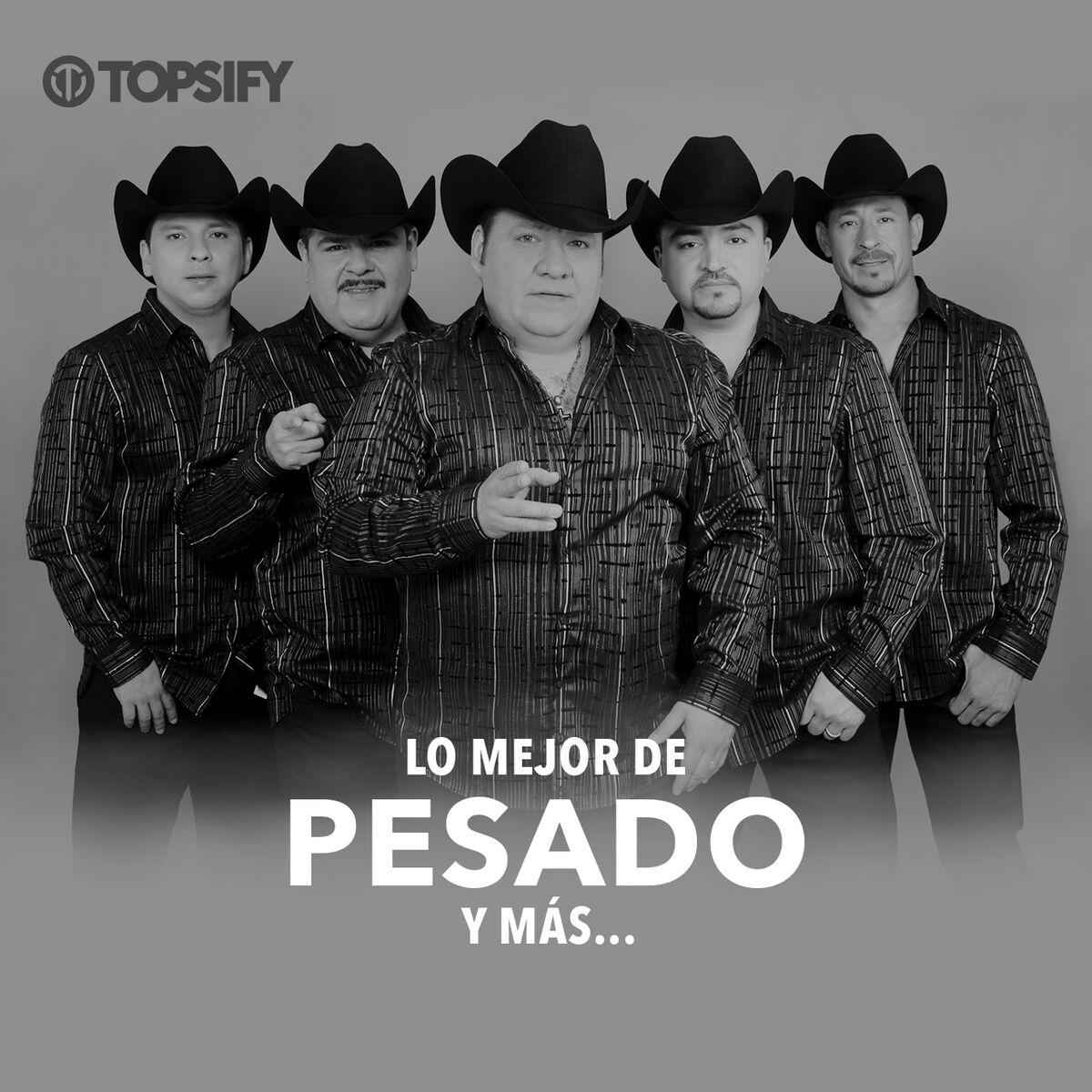 Cover of playlist Lo Mejor de Pesado
