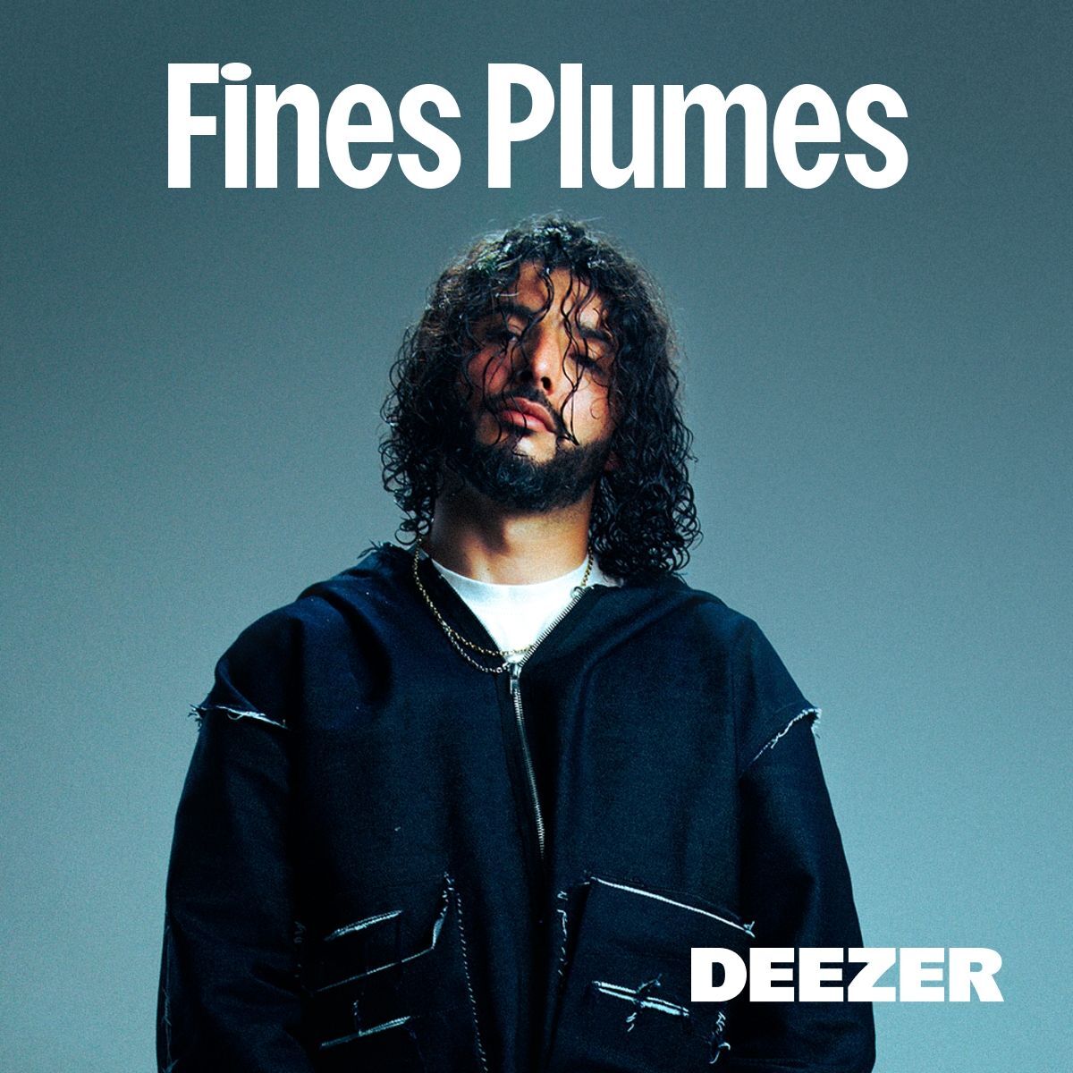 Cover of playlist Fines Plumes