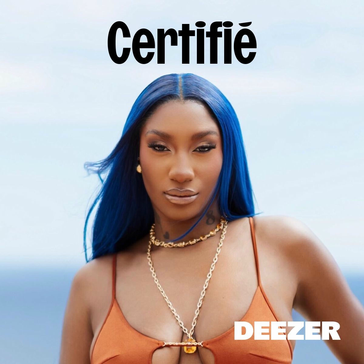 Cover of playlist Certifié
