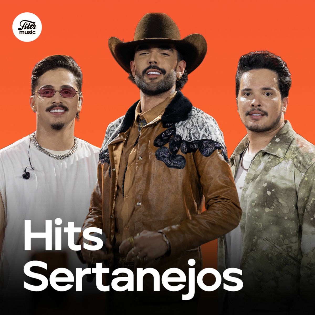 Cover of playlist Top Sertanejo 2025 ⭐ Hits Sertanejos!