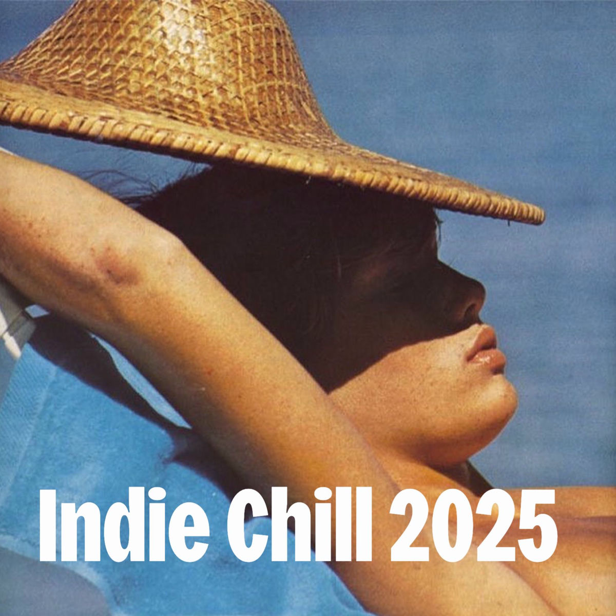 Cover of playlist Indie Chill 2025