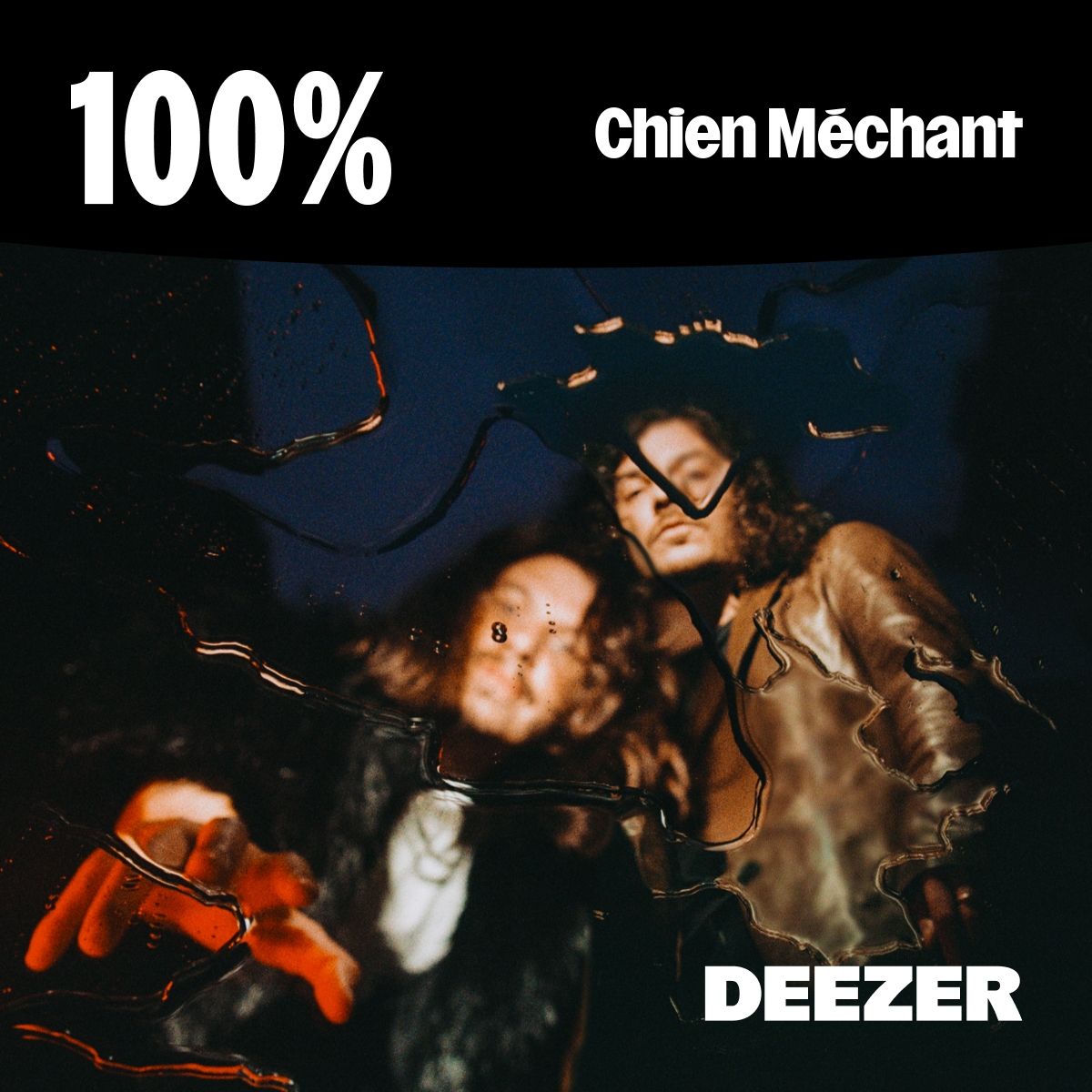 Cover of playlist 100% Chien Méchant