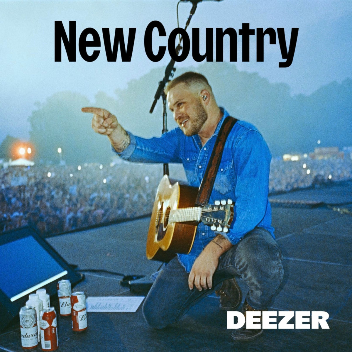 Cover of playlist New Country