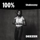 100% Shaboozey