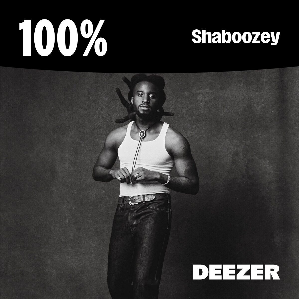 Cover of playlist 100% Shaboozey