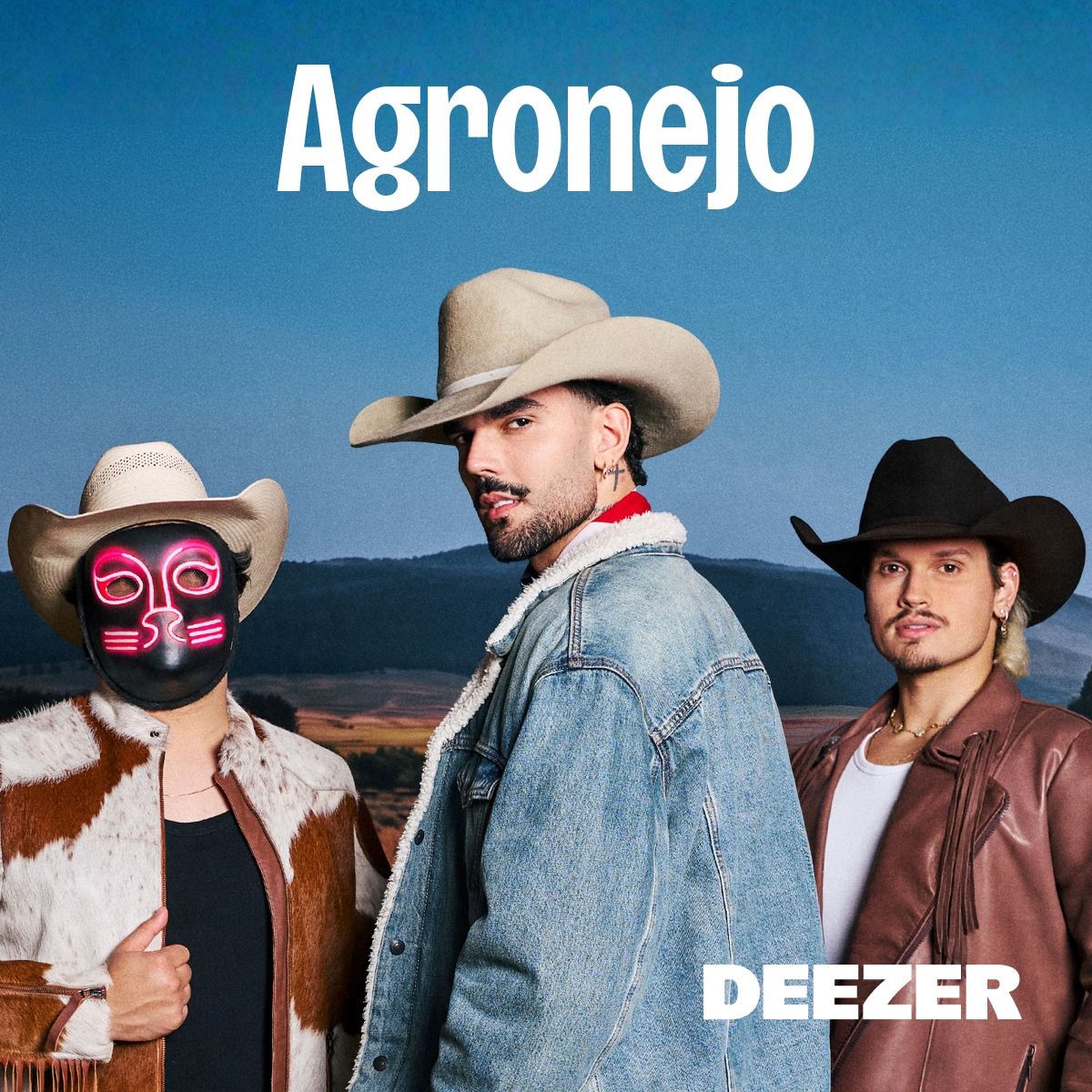 Cover of playlist Agronejo
