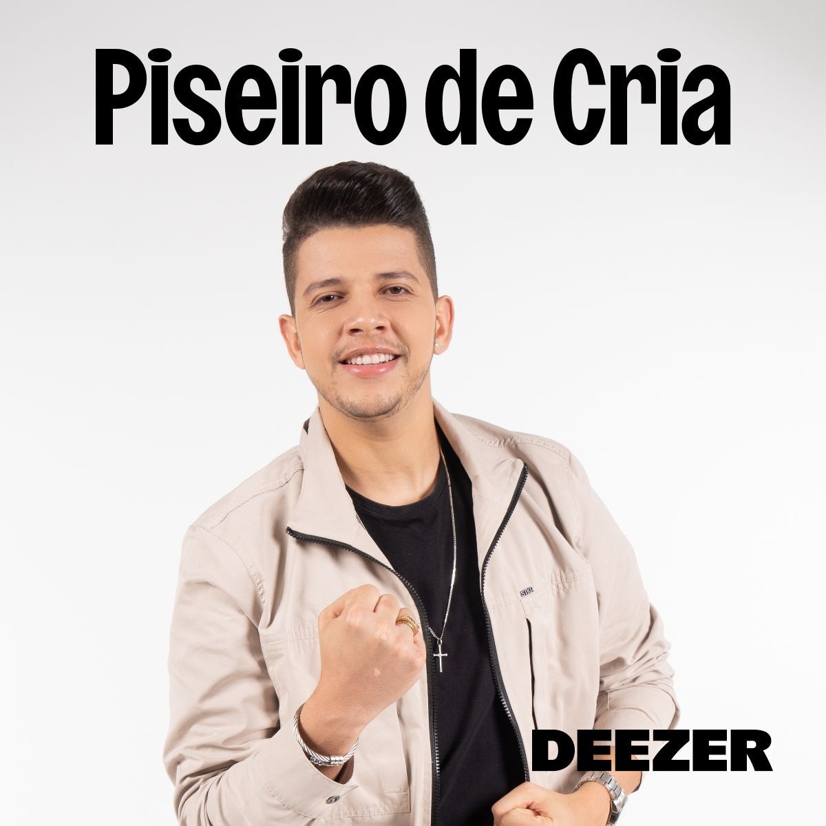 Cover of playlist Piseiro de Cria