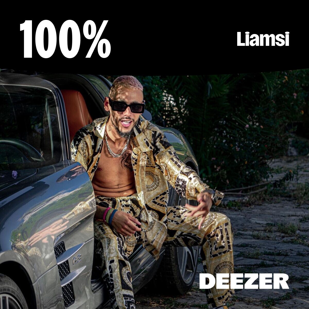 Cover of playlist 100% Liamsi